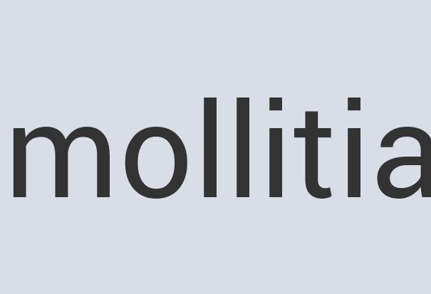 File #200: /tmp/9d91bccc0ccb999435dbd2b5da7d4926.jpg